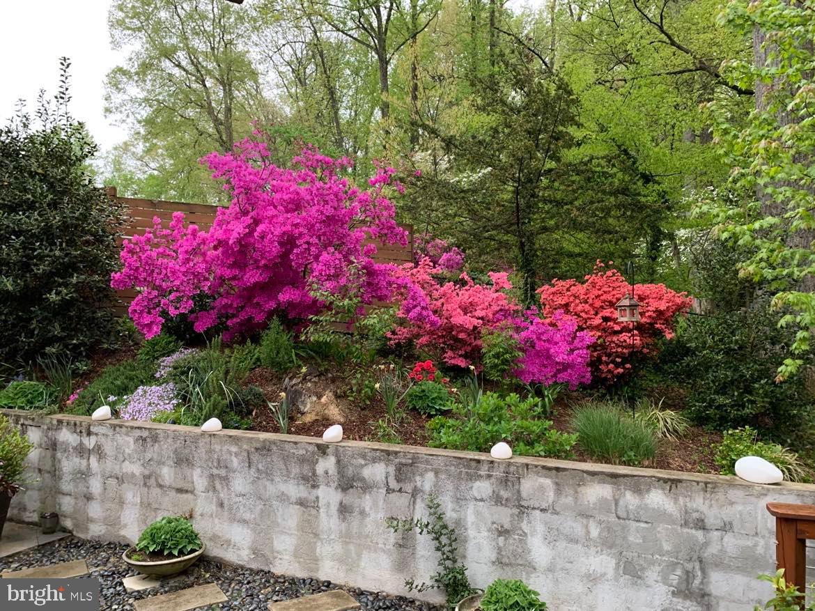 9020 Hamilton Drive Fairfax, VA 22031 - Photo 60 of 73