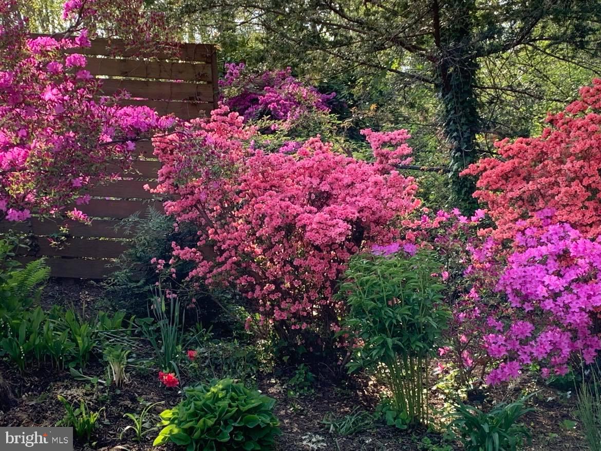 9020 Hamilton Drive Fairfax, VA 22031 - Photo 61 of 73