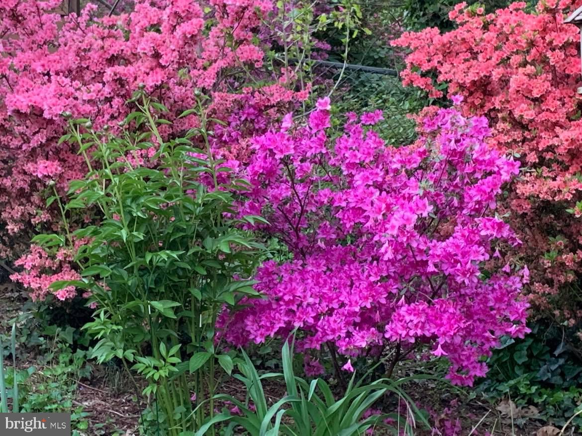 9020 Hamilton Drive Fairfax, VA 22031 - Photo 62 of 73