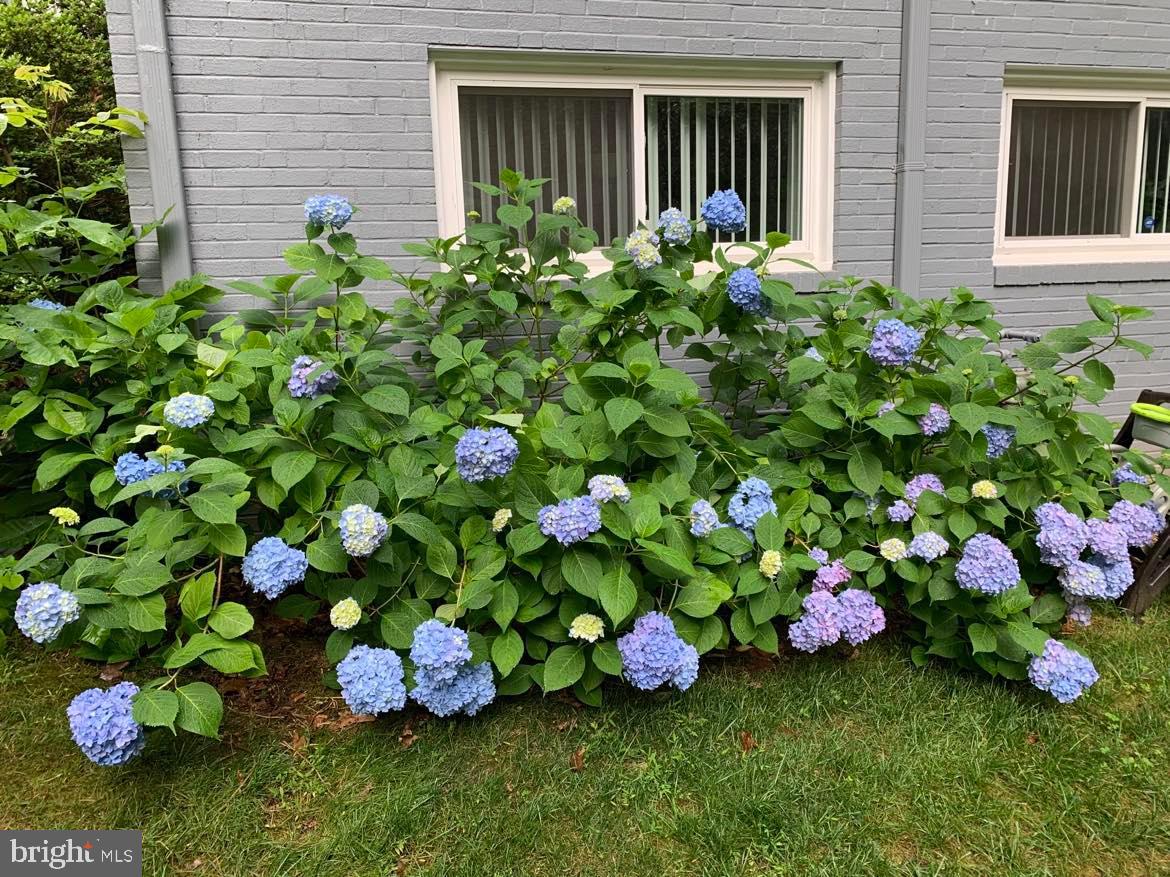 9020 Hamilton Drive Fairfax, VA 22031 - Photo 64 of 73