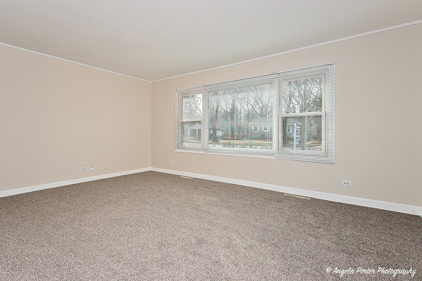 238 Woodland Road Libertyville, IL 60048 - Photo 5 of 19 an empty room with windows