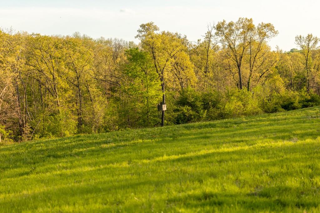 65200 Sultan Road Green Castle, MO 63544 - Photo 33 of 71