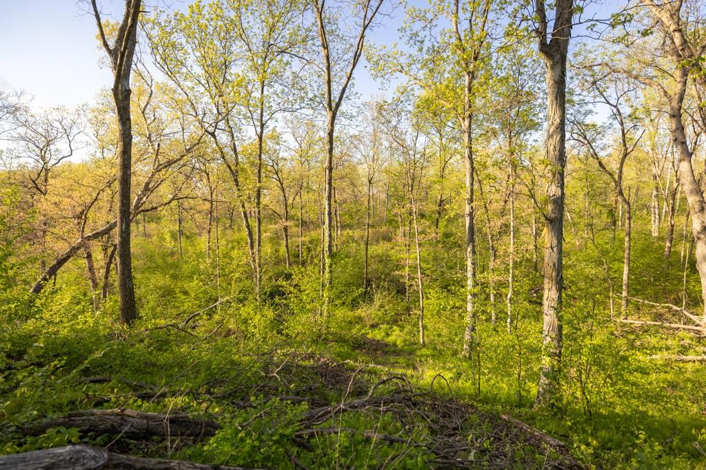 65200 Sultan Road Green Castle, MO 63544 - Photo 57 of 71