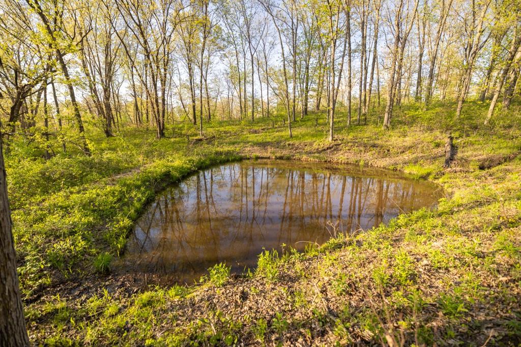 65200 Sultan Road Green Castle, MO 63544 - Photo 58 of 71