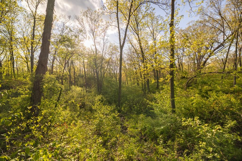 65200 Sultan Road Green Castle, MO 63544 - Photo 59 of 71