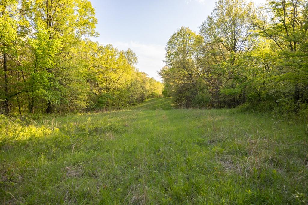 65200 Sultan Road Green Castle, MO 63544 - Photo 62 of 71