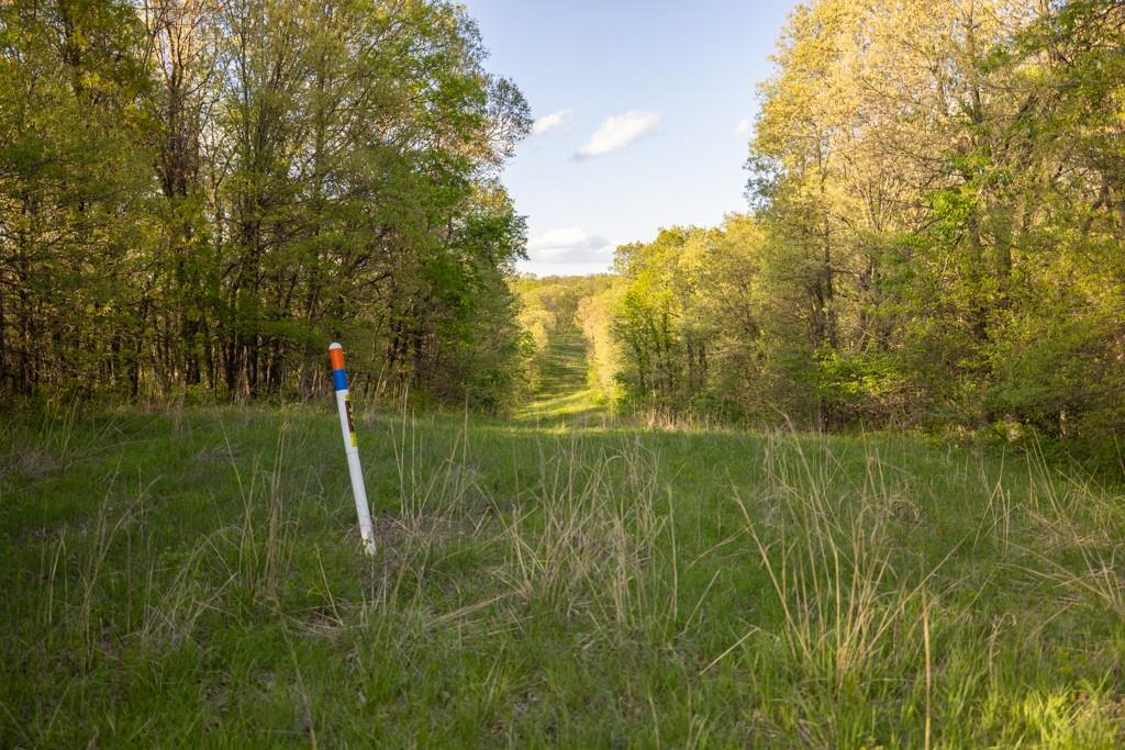 65200 Sultan Road Green Castle, MO 63544 - Photo 63 of 71