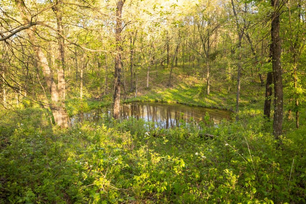 65200 Sultan Road Green Castle, MO 63544 - Photo 64 of 71