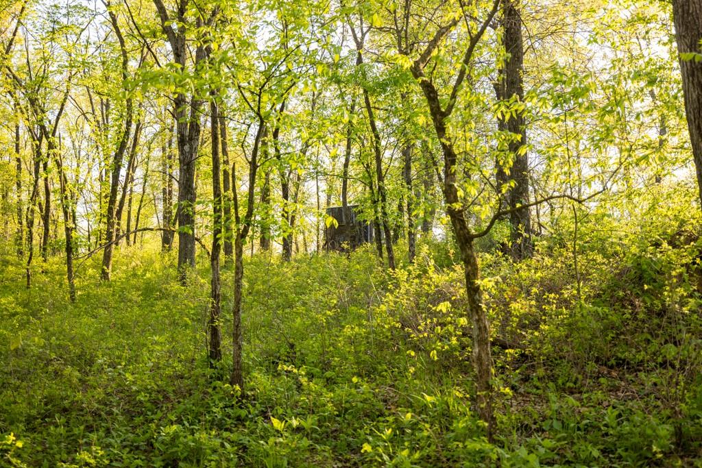 65200 Sultan Road Green Castle, MO 63544 - Photo 65 of 71