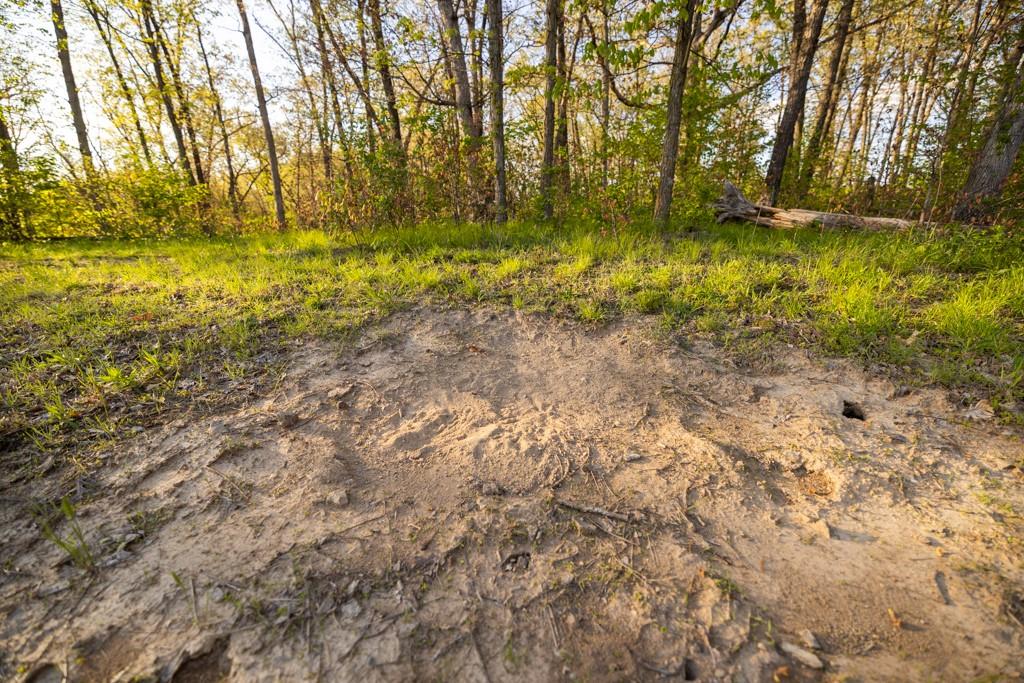 65200 Sultan Road Green Castle, MO 63544 - Photo 71 of 71