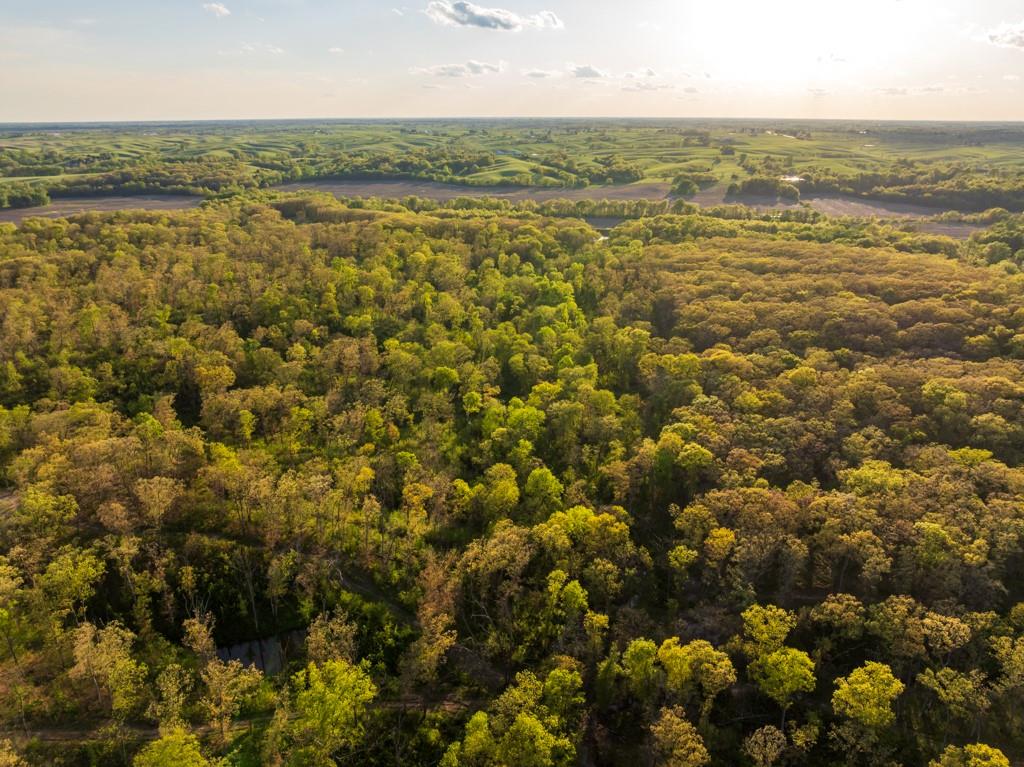 65200 Sultan Road Green Castle, MO 63544 - Photo 10 of 71