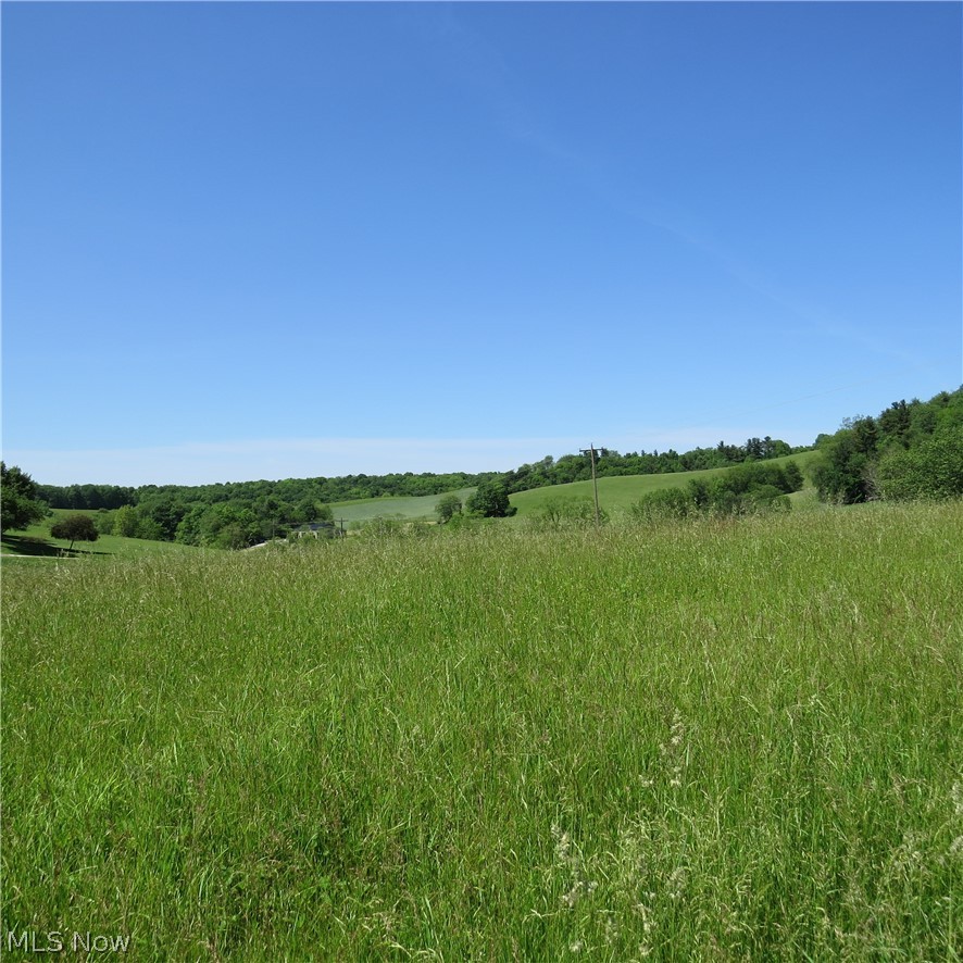 Fargo Road Southwest Dellroy, OH 44620 - Photo 10 of 14