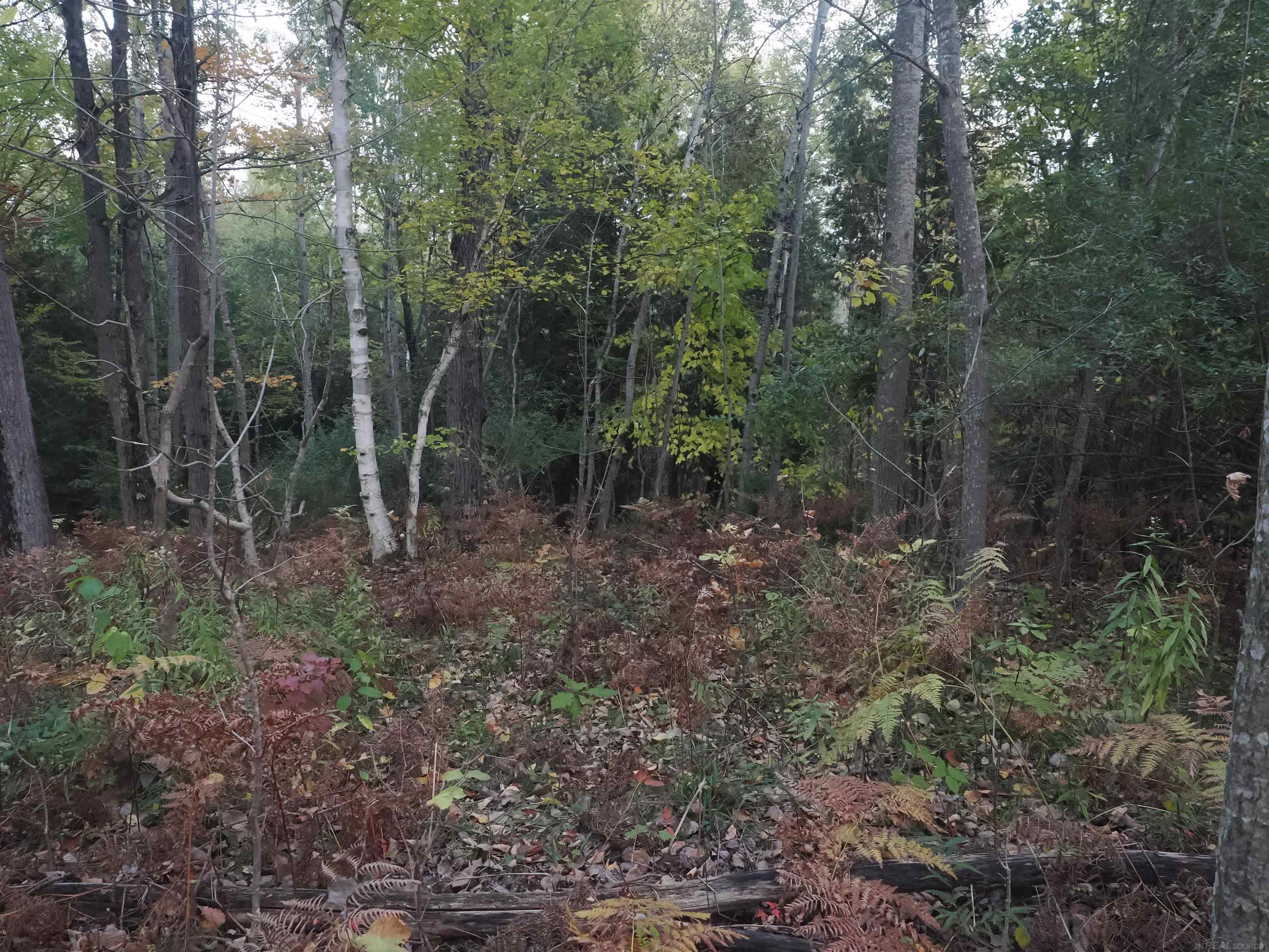 Xxx Tolan Road Spruce, MI 48762 - Photo 70 of 79