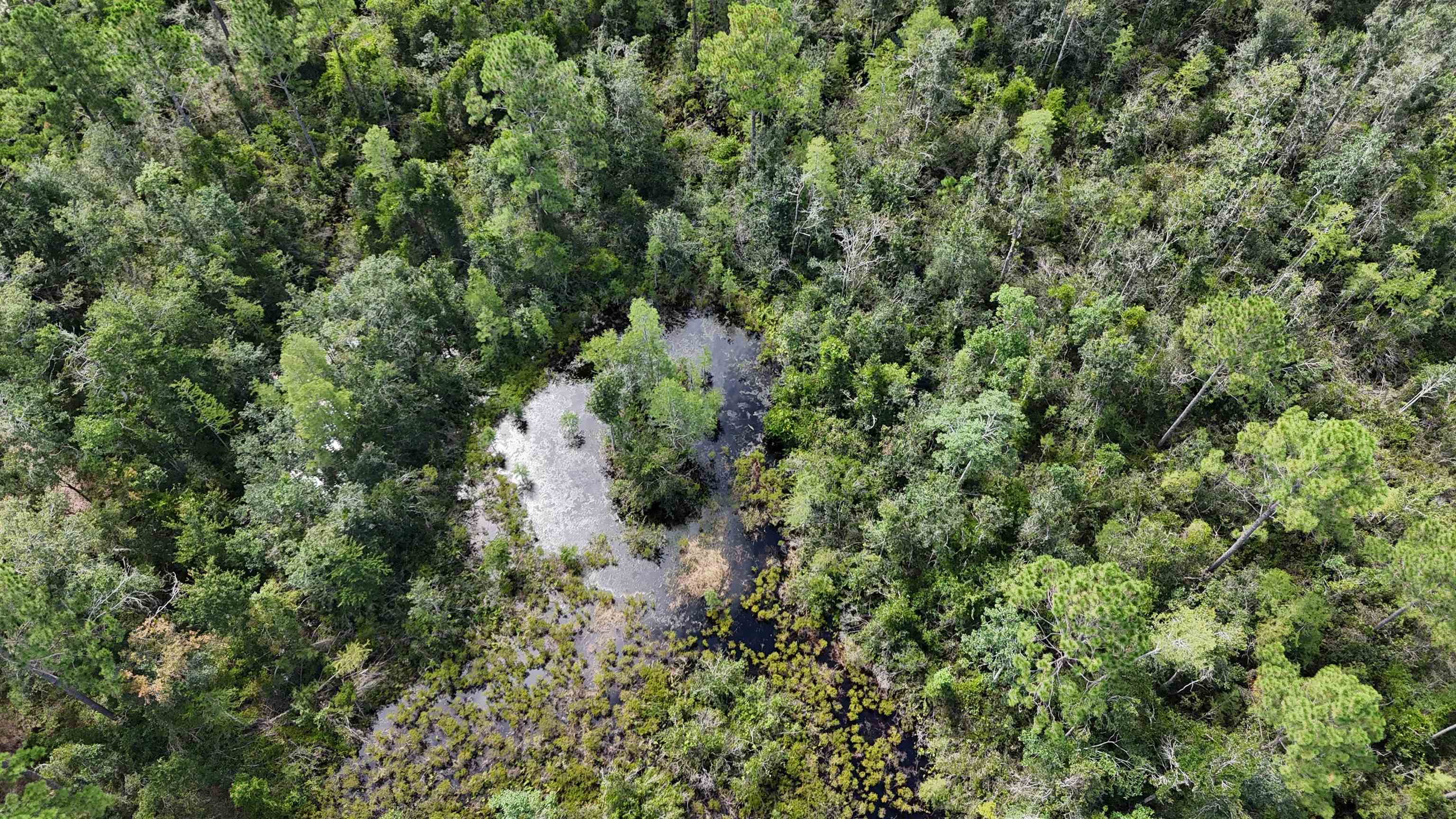 1400 Southwest Townsend Road Madison, FL 32340 - Photo 17 of 22 Gallery Image 17