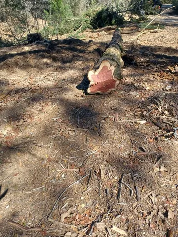 $335,000 | 172 Pine Canyon Drive, Smithville, TX 78957