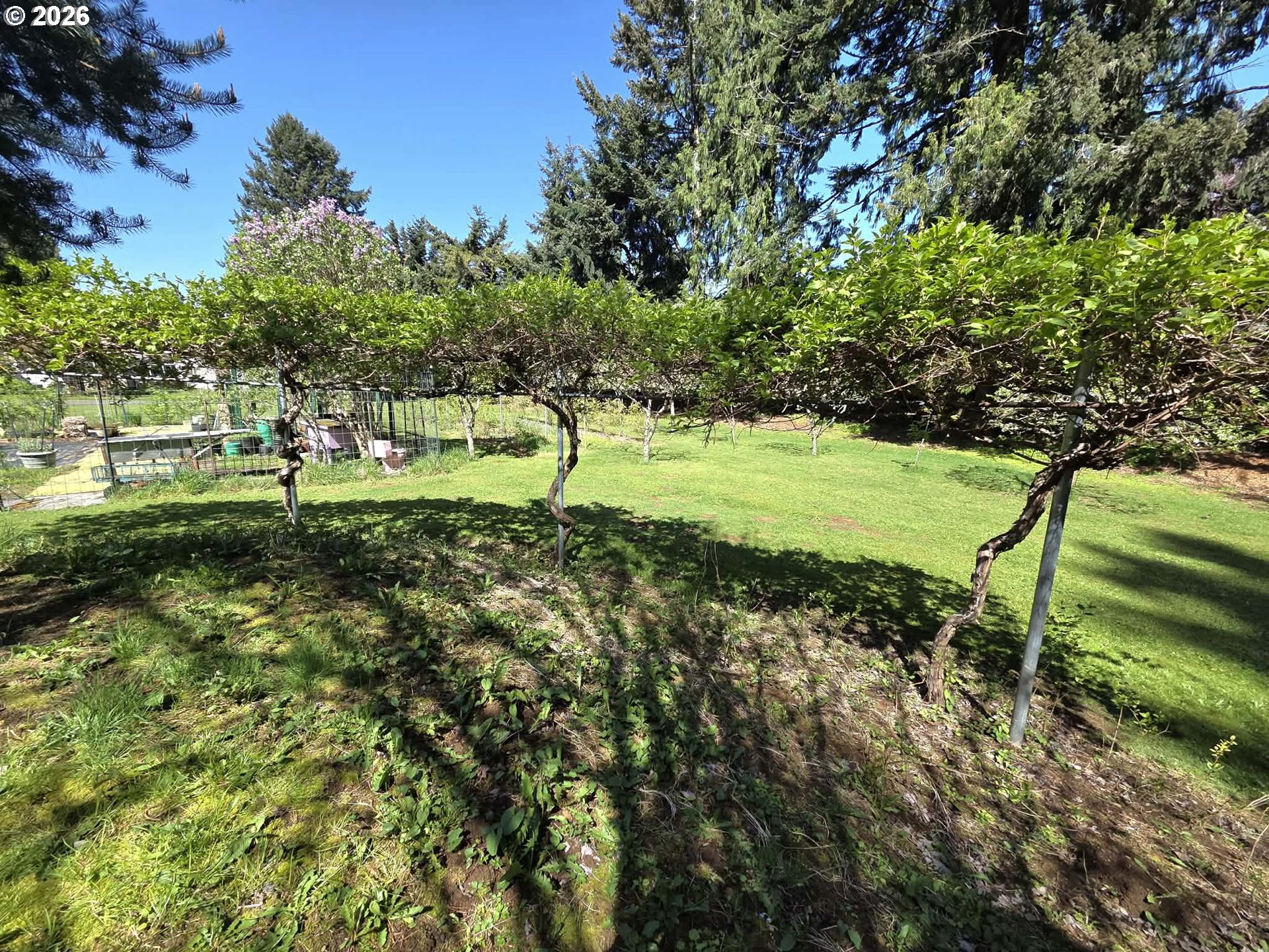 42970 Southeast Music Camp Road Sandy, OR 97055 - Photo 7 of 46