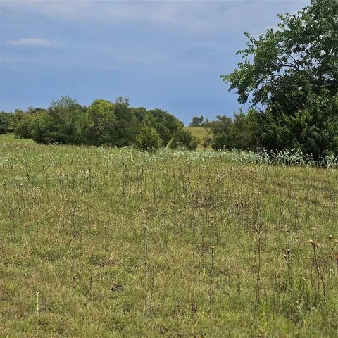 a view of a field of grass and trees