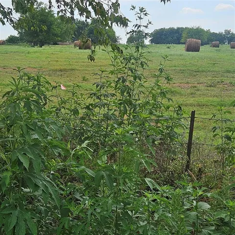 a view of a lush green field