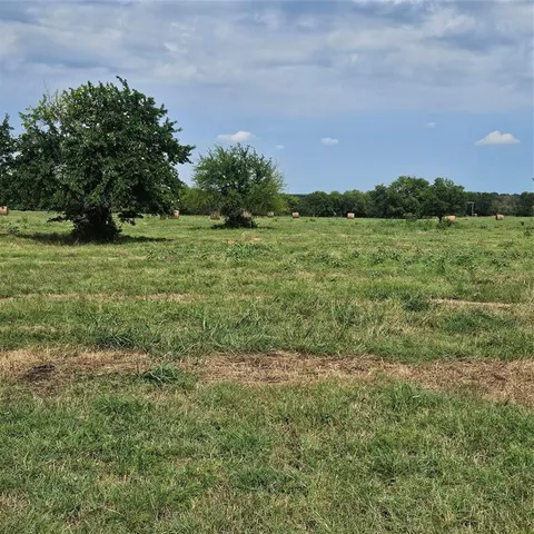 a view of a field with an trees
