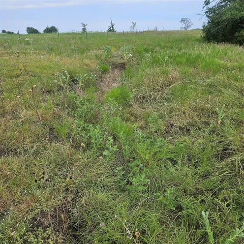 a view of a lush green forest with a houses
