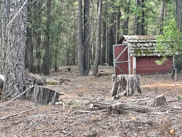 a childrens park with lots of trees