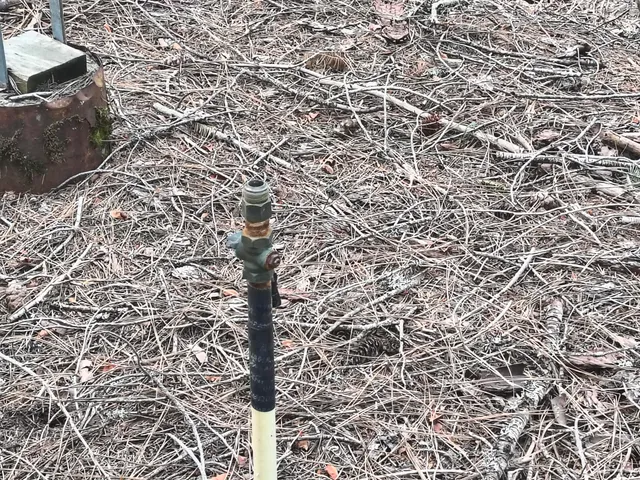 a view of a bench in a backyard