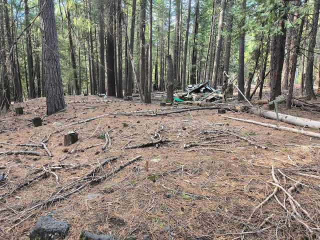 $29,000 | 8681 Savannah Way, Shingletown, CA 96088