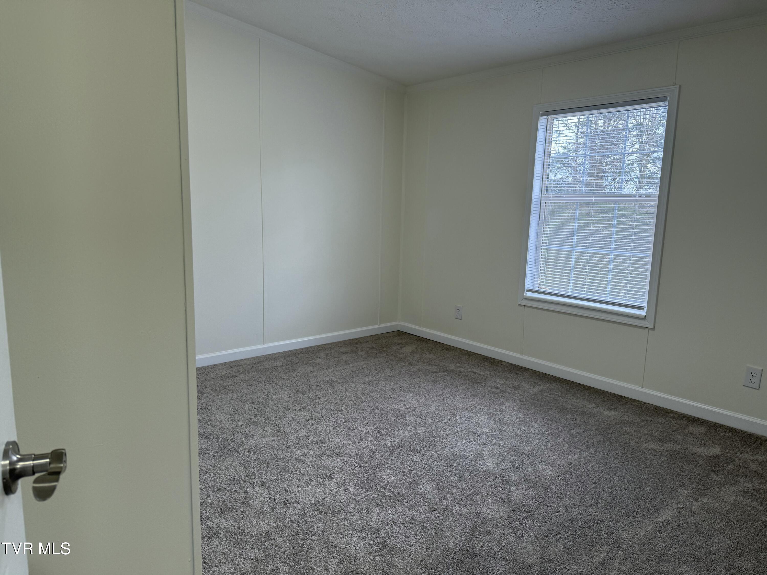 100 Lovelace Mountain View Loop Fall Branch, TN 37656 - Photo 20 of 44 tempImage8zA3MR