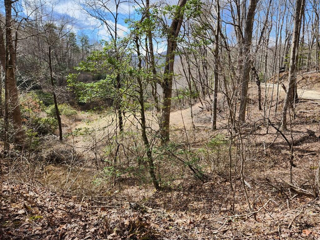 0 Camp Branch Road Topton, NC 28781 - Photo 2 of 41 Gallery Image 2