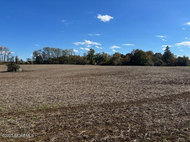 168 Burlington Path Road Cream Ridge, NJ 08514 - Photo 4 of 9 IMG_3405