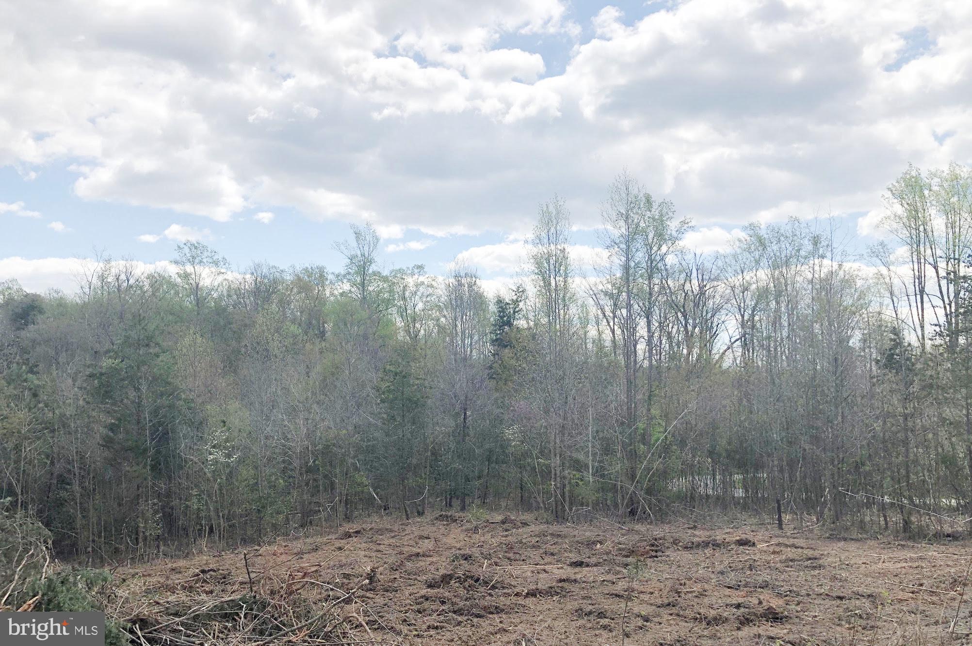 6000 Glebe Run Road Partlow, VA 22534 - Photo 28 of 31 Actual Lot - Clearing in process