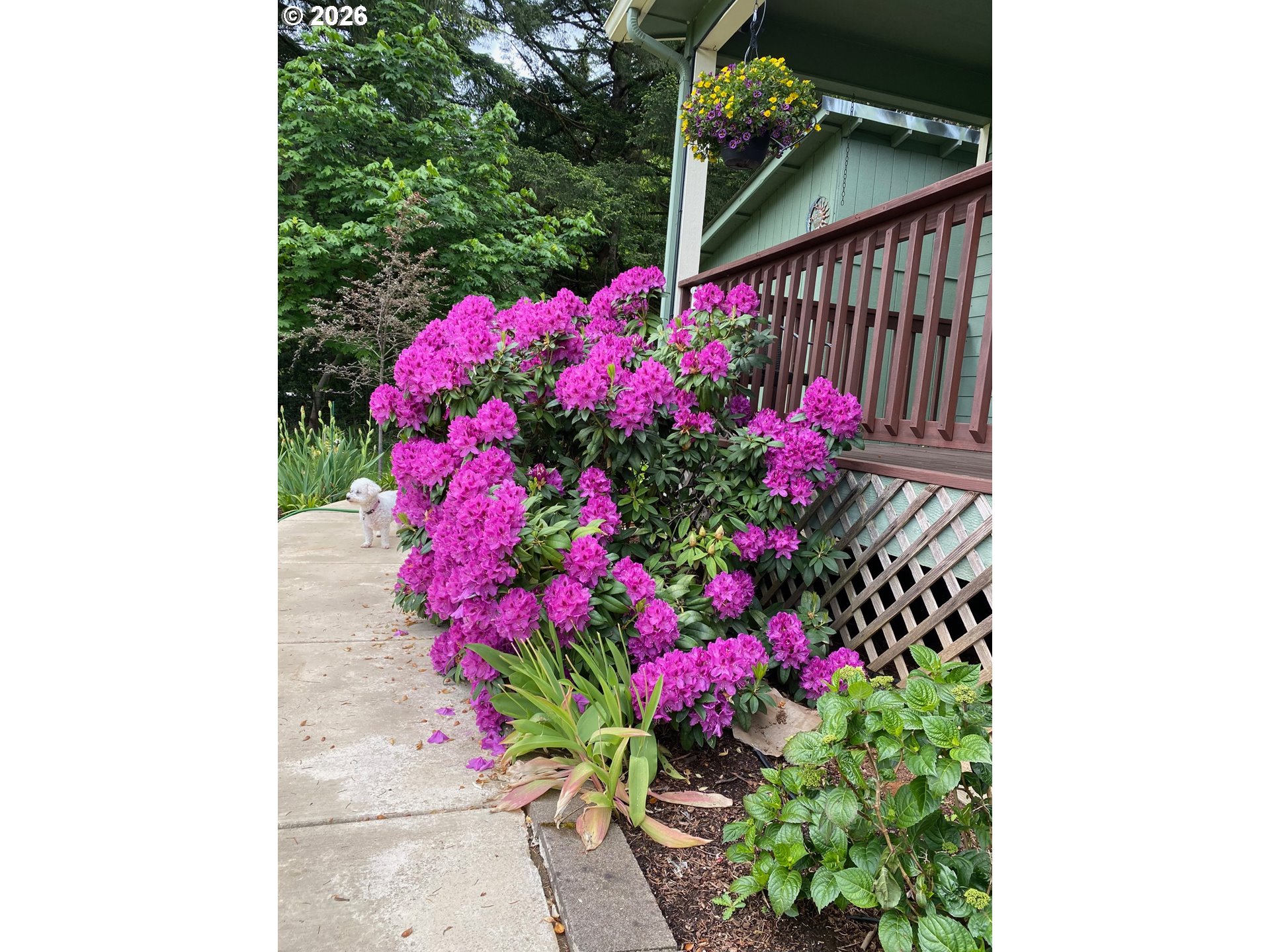 75990 Reservoir Road Cottage Grove, OR 97424 - Photo 37 of 39