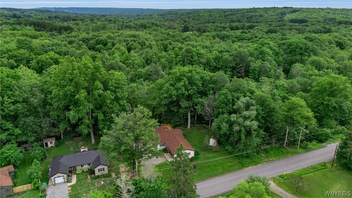 997 Sweet Road East Aurora, NY 14052 - Photo 47 of 50