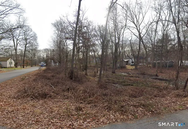 a view of a yard with trees