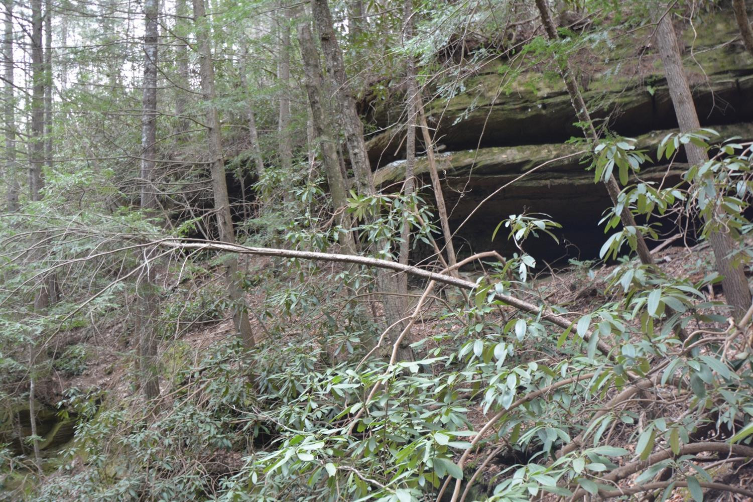 177 Mullins Point Road Campton, KY 41301 - Photo 15 of 85 Photo 15