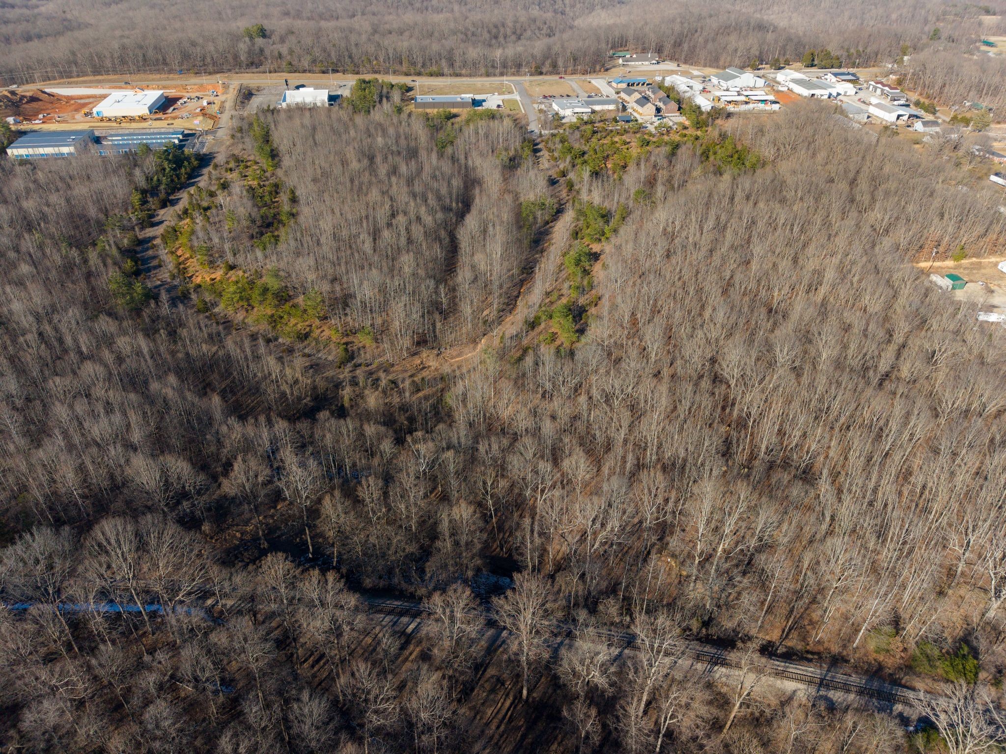0 East Highway 70 White Bluff, TN 37187 - Photo 17 of 26 a view of a forest with a dry forest