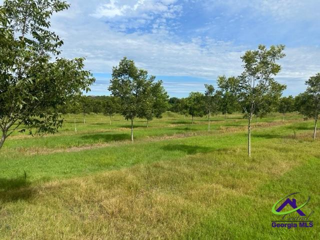 Henderson Springs Road Elko, GA 31025 - Photo 22 of 24