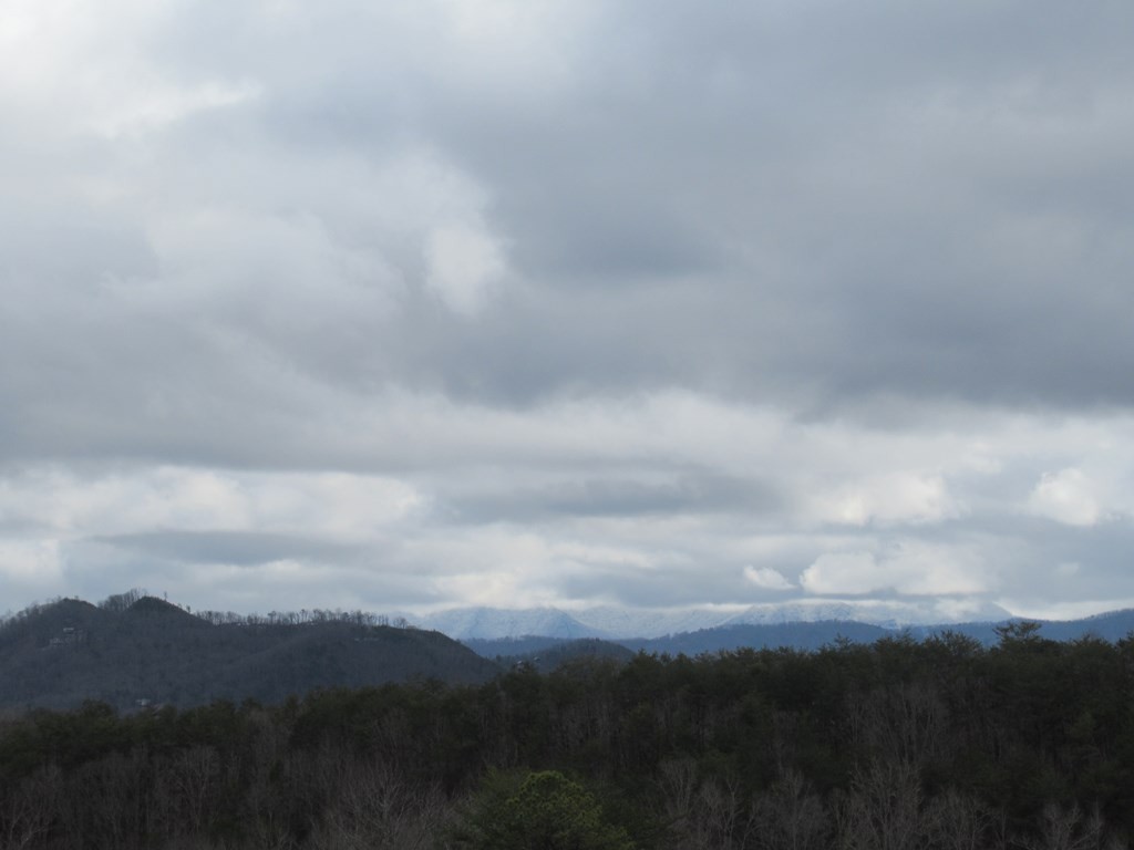 156 Bear Valley Road Sevierville, TN 37876 - Photo 3 of 15