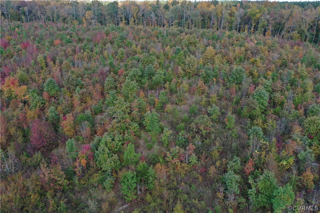 98.5 Swann Road Powhatan, VA 23139 - Photo 13 of 26 Gallery Image 13