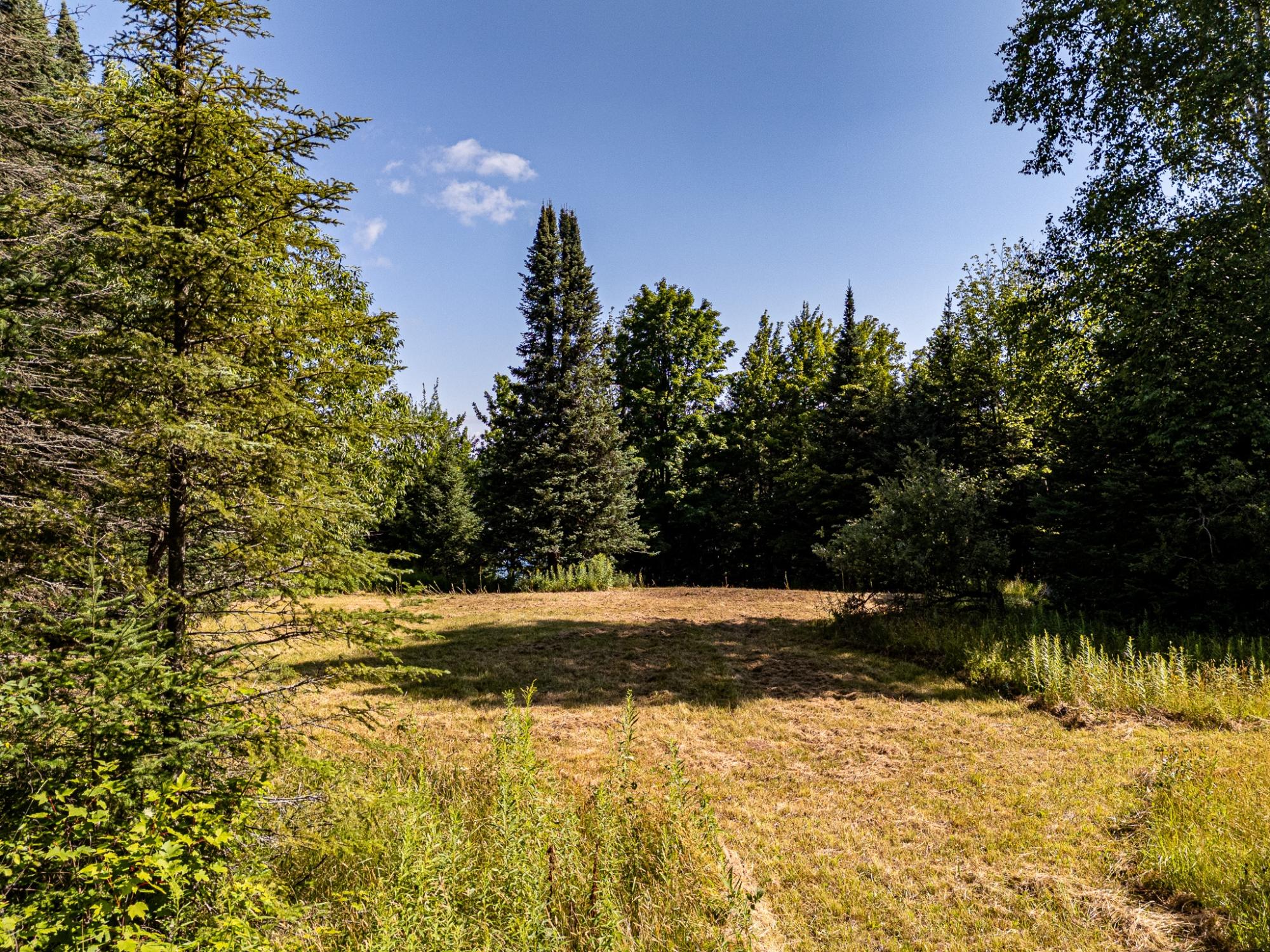 Lot 36 Hewitt Lane Mercer, WI 54547 - Photo 22 of 34 Gallery Image 22