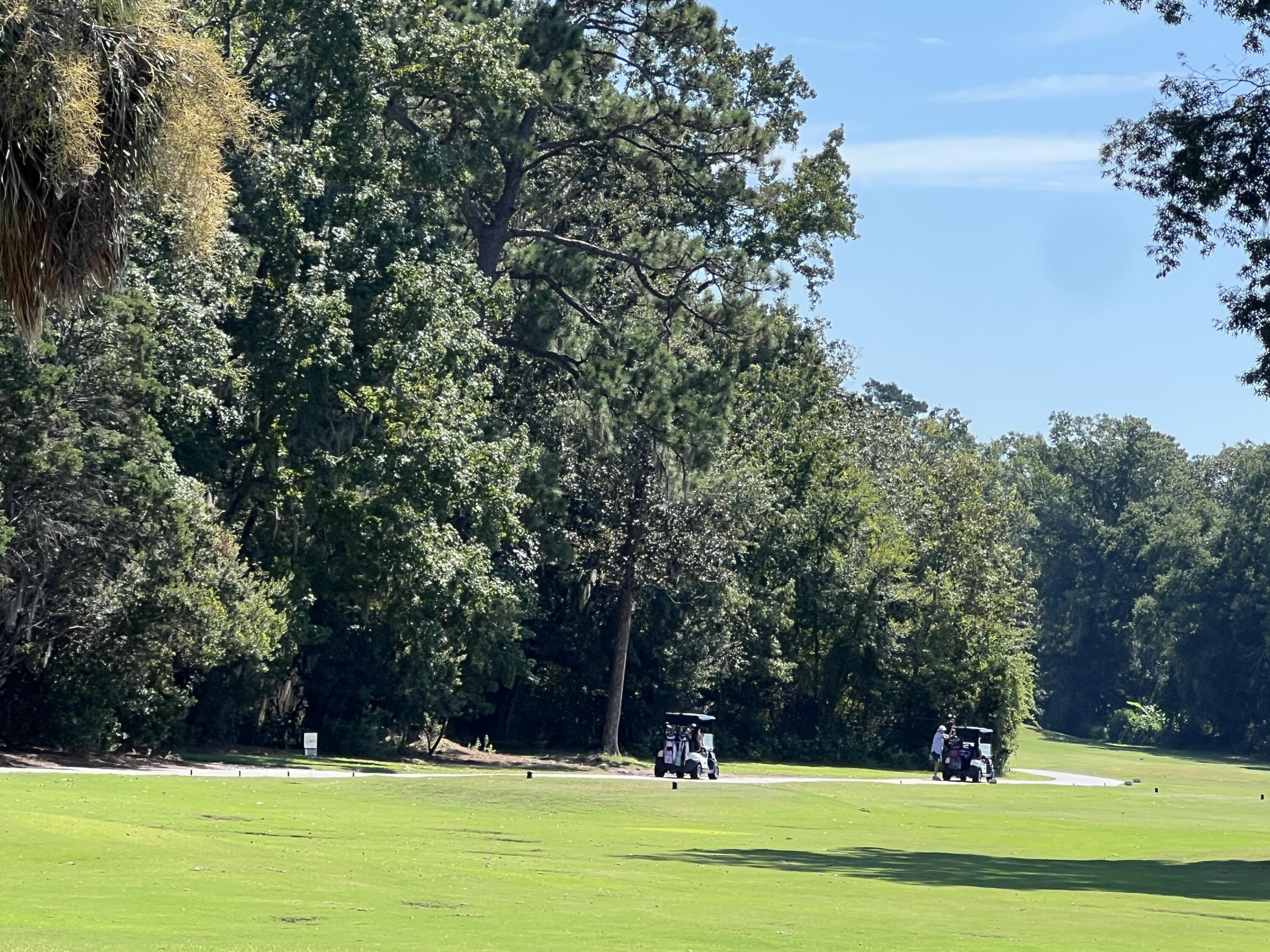 213 Harlech Way Charleston, SC 29414 - Photo 67 of 69 Shadowmoss Golf and Country Club