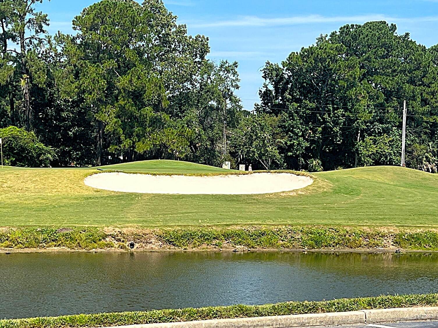 213 Harlech Way Charleston, SC 29414 - Photo 69 of 69 Shadowmoss Golf and Country Club