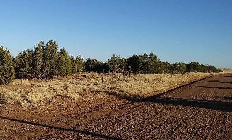 3857 Ramsey Road Snowflake, AZ 85937 - Photo 3 of 3 Gallery Image 3