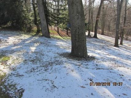 225 Beverly Way Butler, PA 16001 - Photo 18 of 18 Rear yard
