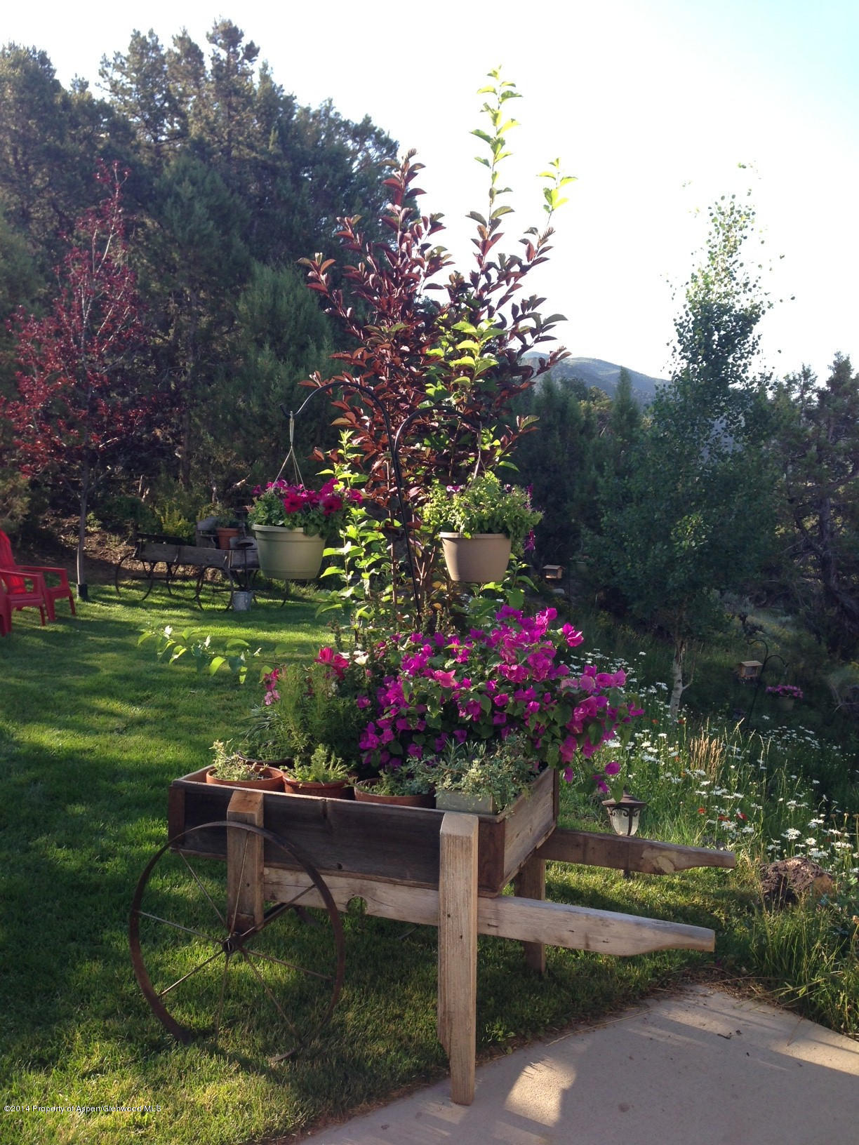 356 Hillcrest Drive Basalt, CO 81621 - Photo 26 of 29 a green field with flowers and trees