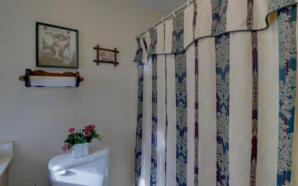 7300 Mr Bert Road Hiawassee, GA 30546 - Photo 31 of 48 a view of a hallway with a flower pot