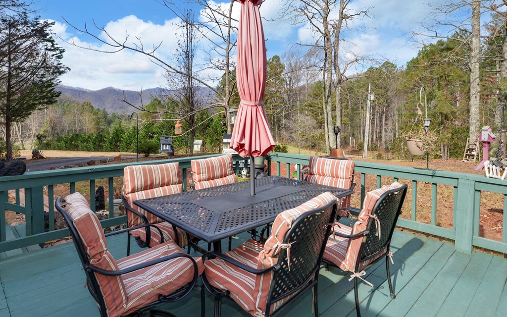 7300 Mr Bert Road Hiawassee, GA 30546 - Photo 4 of 48 a view of a patio with iron fence