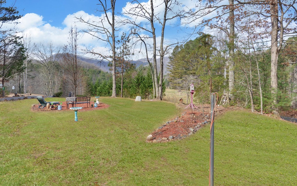 7300 Mr Bert Road Hiawassee, GA 30546 - Photo 41 of 48 a garden view with a fountain