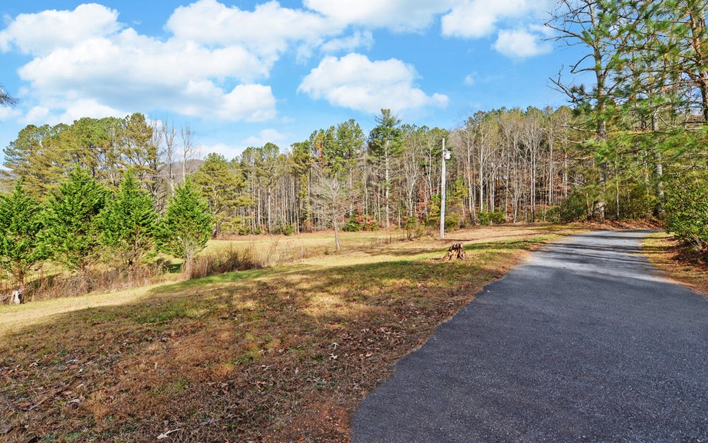 7300 Mr Bert Road Hiawassee, GA 30546 - Photo 43 of 48 a view of a city view