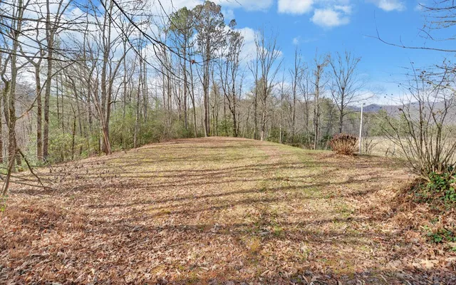 a view of empty room with tree s